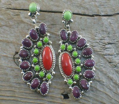 Native American Earrings Cluster- Beauty! 